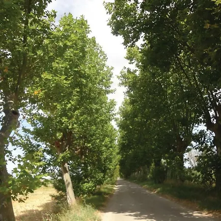 2 Bedroom Amazing In * Narbonne